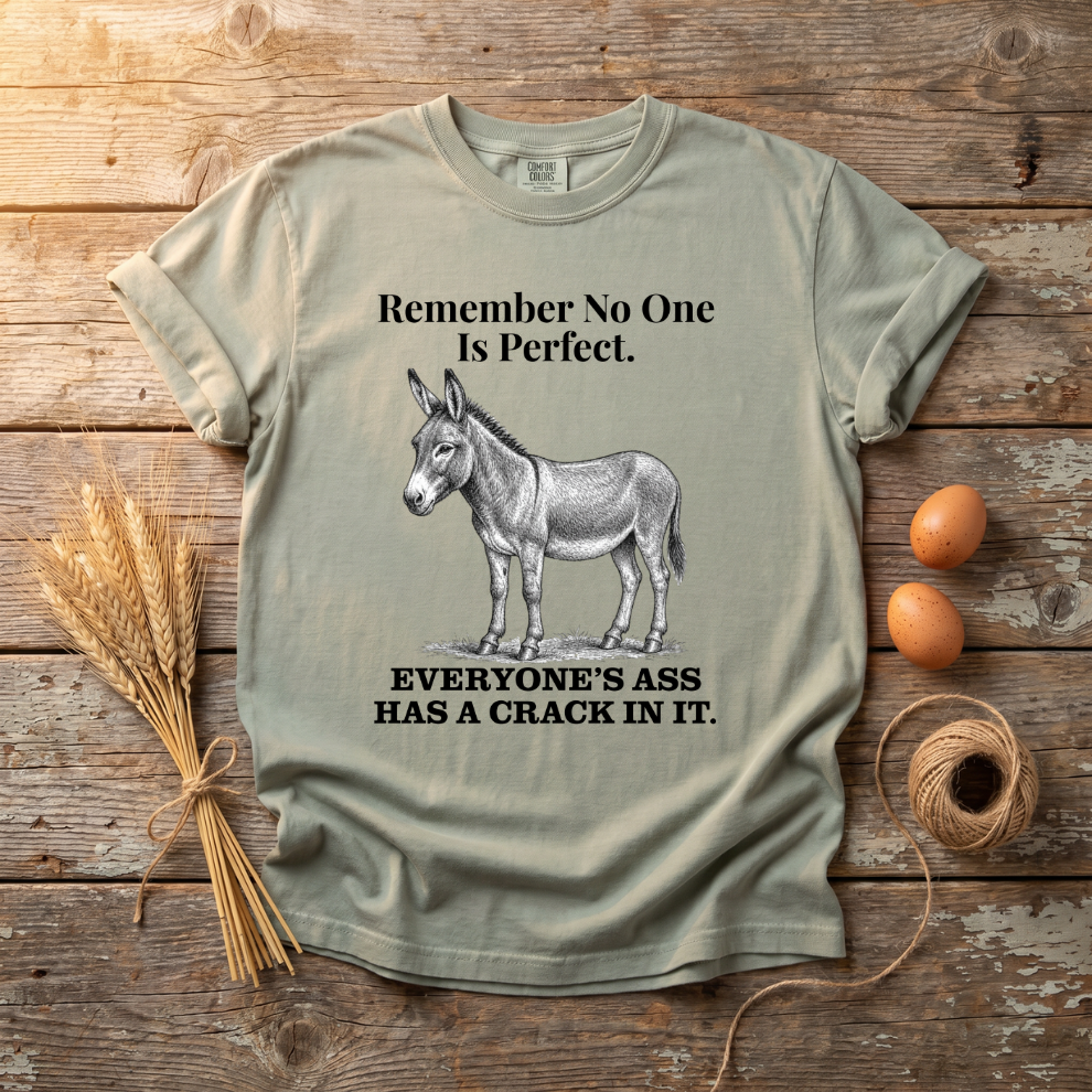 Remember No One Is Perfect Unisex T-shirt