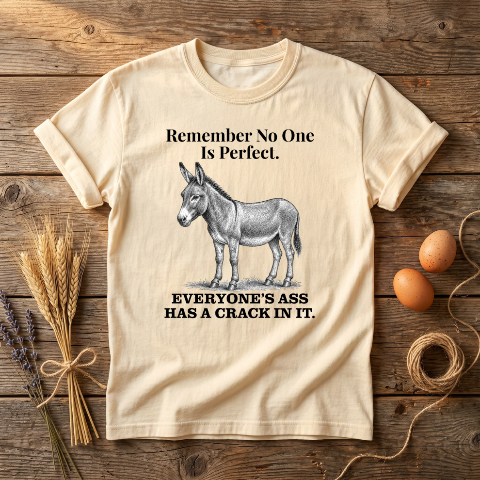 Remember No One Is Perfect Unisex T-shirt