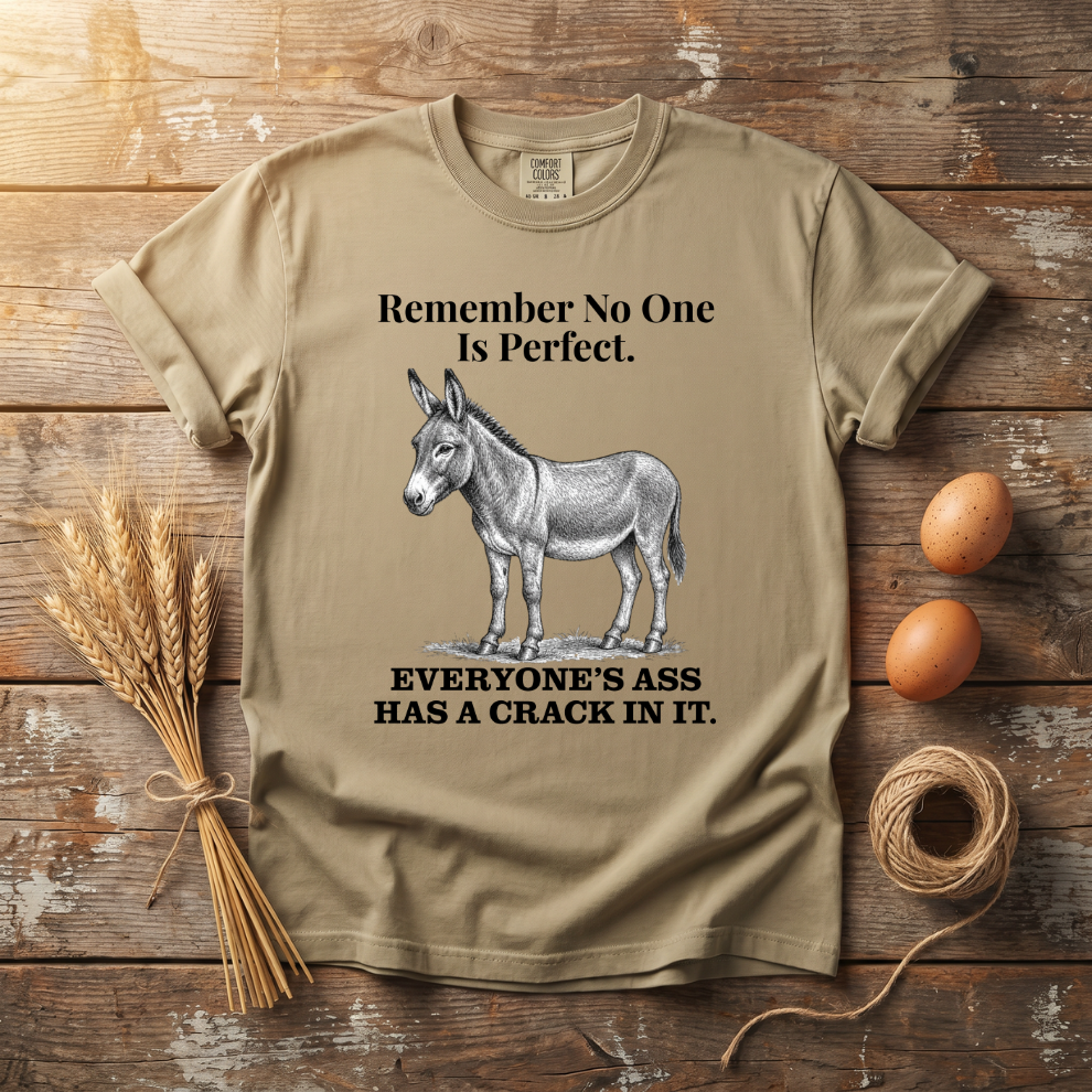 Remember No One Is Perfect Unisex T-shirt