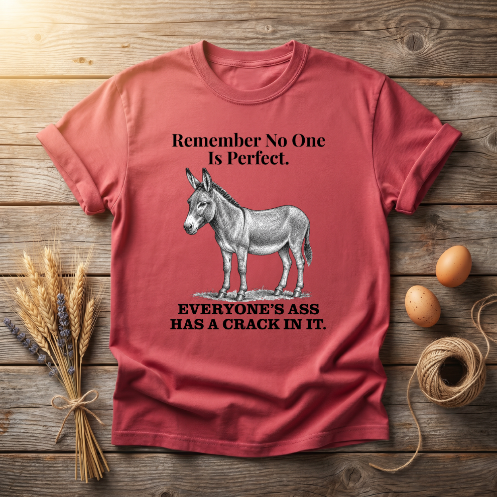 Remember No One Is Perfect Unisex T-shirt