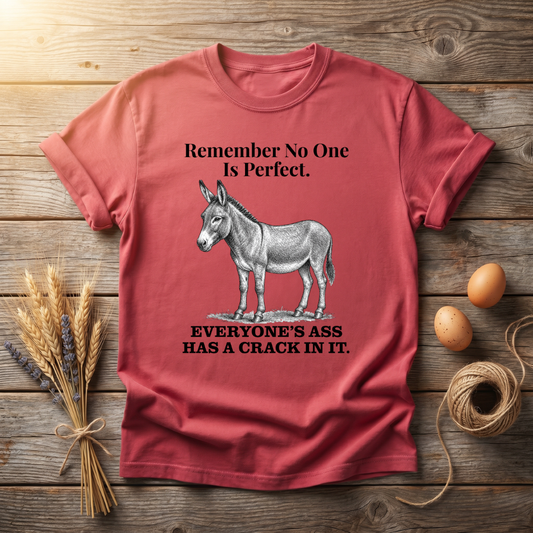Remember No One Is Perfect Unisex T-shirt